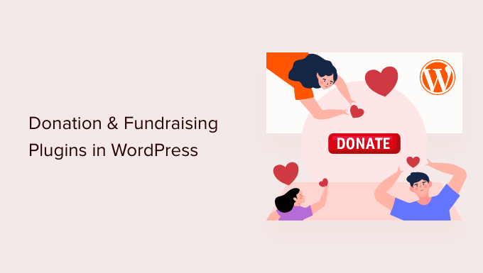 donations and fundraising plugins in wordpress og